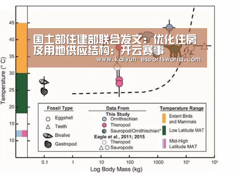开云体育