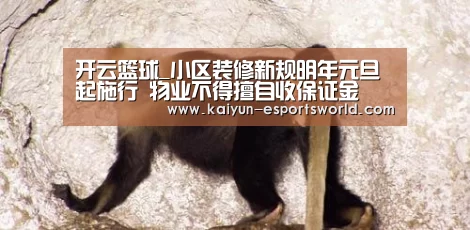 开云篮球_小区装修新规明年元旦起施行 物业不得擅自收保证金(图4) 开云足球