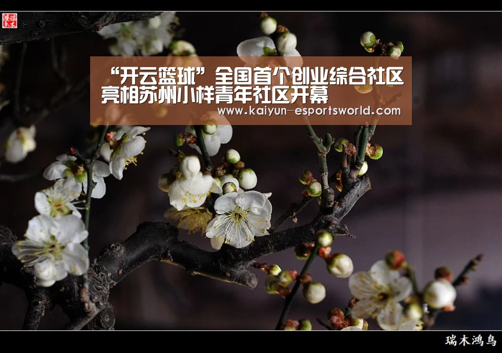 “开云篮球”全国首个创业综合社区亮相苏州小样青年社区开幕
