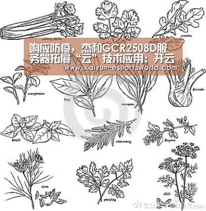 响应防疫,杰和GCR2508D服务器拓展“云”技术应用:开云篮球(图4) 开云足球