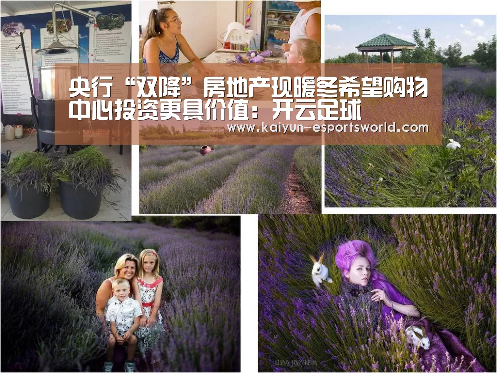 央行“双降”房地产现暖冬希望购物中心投资更具价值:开云足球(图2) 开云体育
