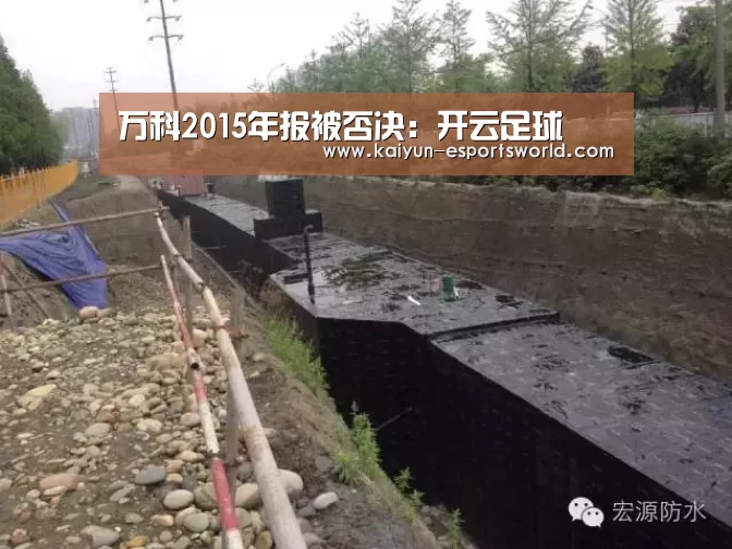 万科2015年报被否决:开云足球(图2) 开云体育
