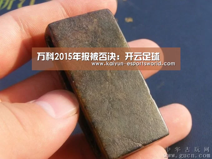 万科2015年报被否决:开云足球(图4) 开云足球